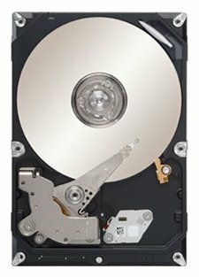 Жесткий диск Seagate 320 GB ST3320413CS