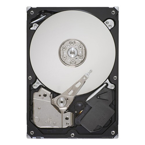 Seagate ST3500418AS