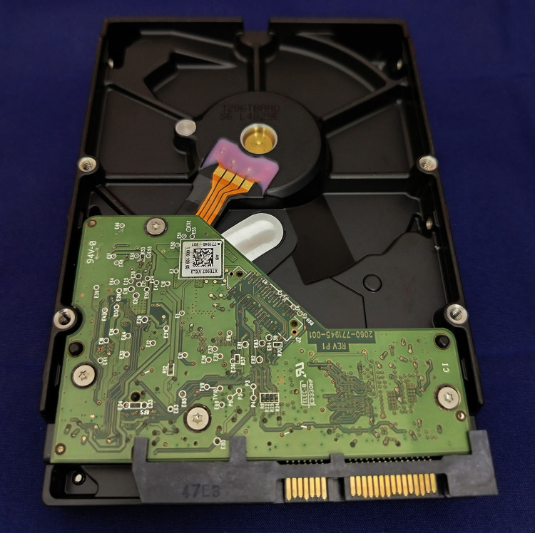 Жесткий диск Western Digital 1ТБ WD10EFRX