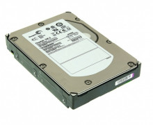 Seagate ST3300655SS