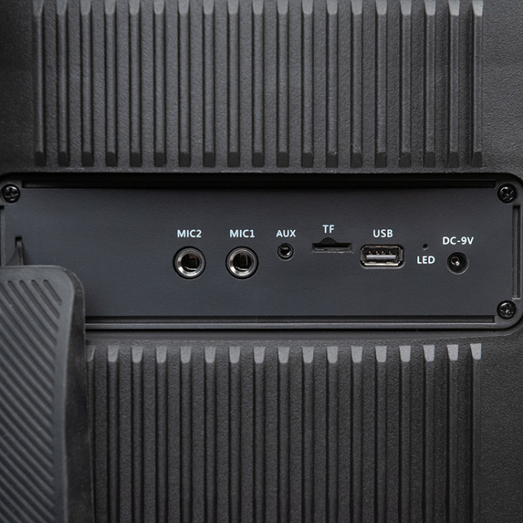 Акустическая колонка DIALOG Oscar AO-300, 80WRMS, Караоке с беспр. микр, BT+FM+USB+SD+LED