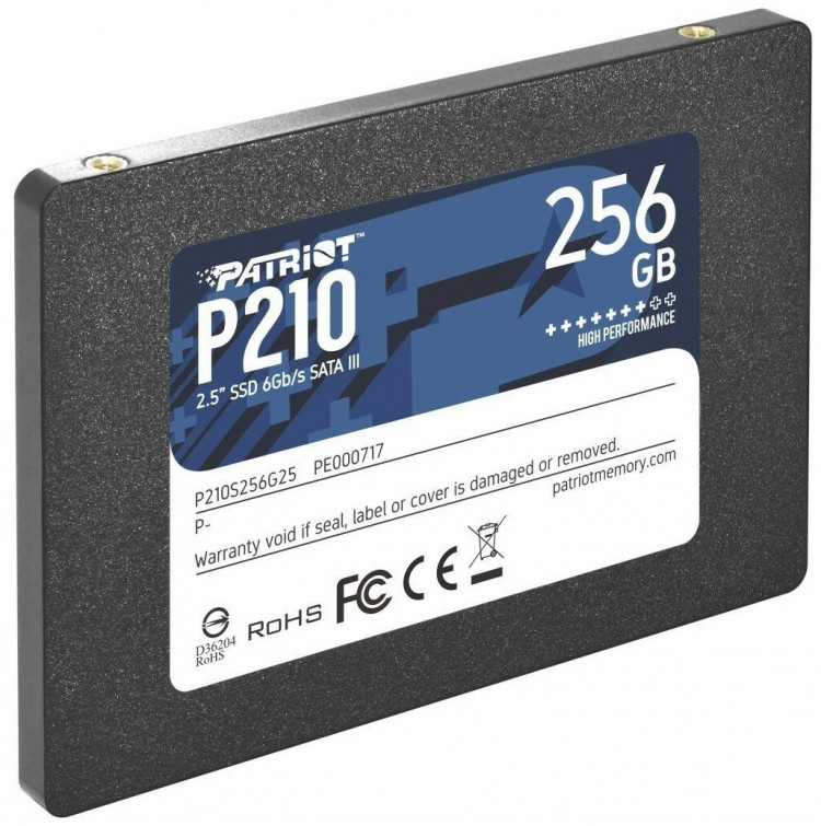 Patriot Memory 256 GB P210S256G25