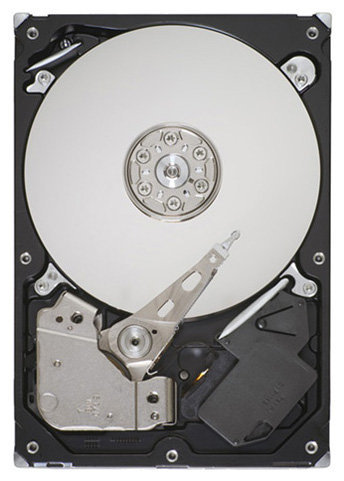 Жесткий диск Seagate ST3500413AS, 500 Гб