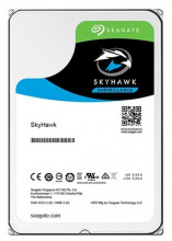 Seagate SkyHawk 6 TB ST6000VX001